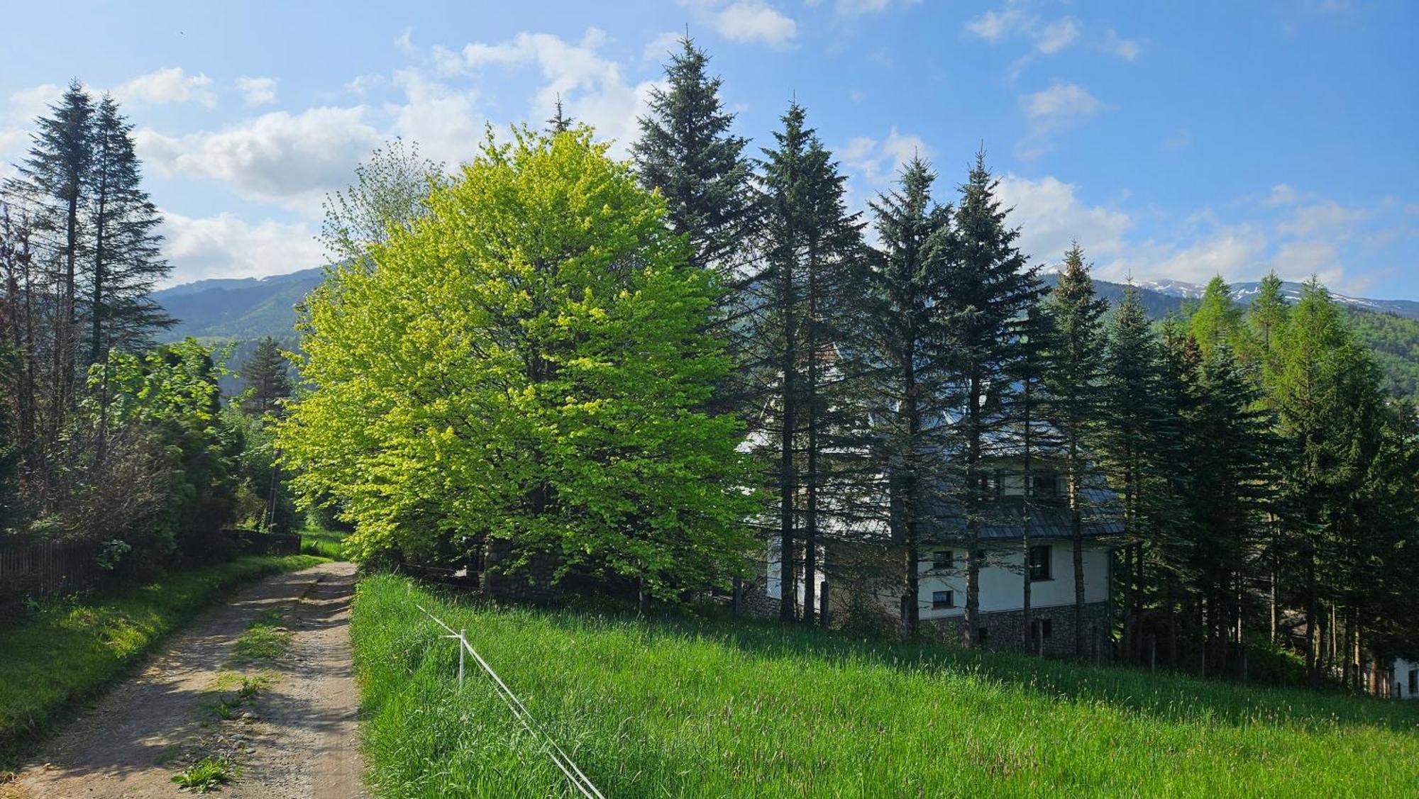Apartamento Kalinówka Kościelisko Exterior foto